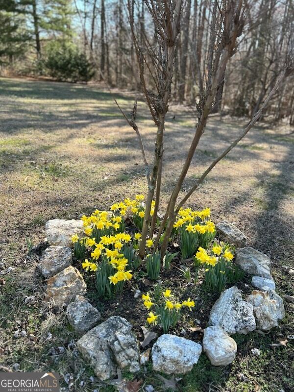 1328 Monroe Green Road Property Photo 61