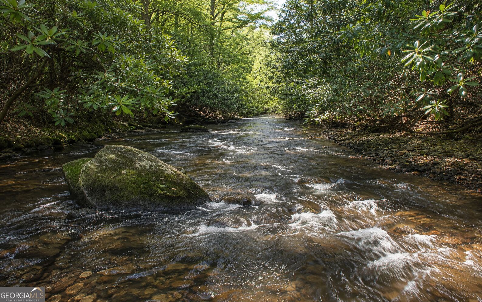 3149 Big Creek Road Property Photo 5