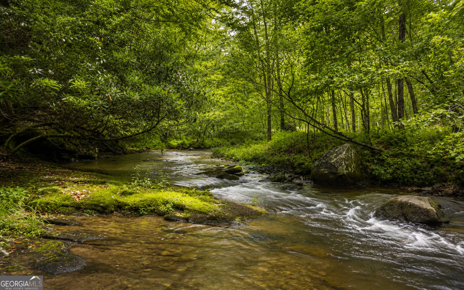 3149 Big Creek Road Property Photo 64
