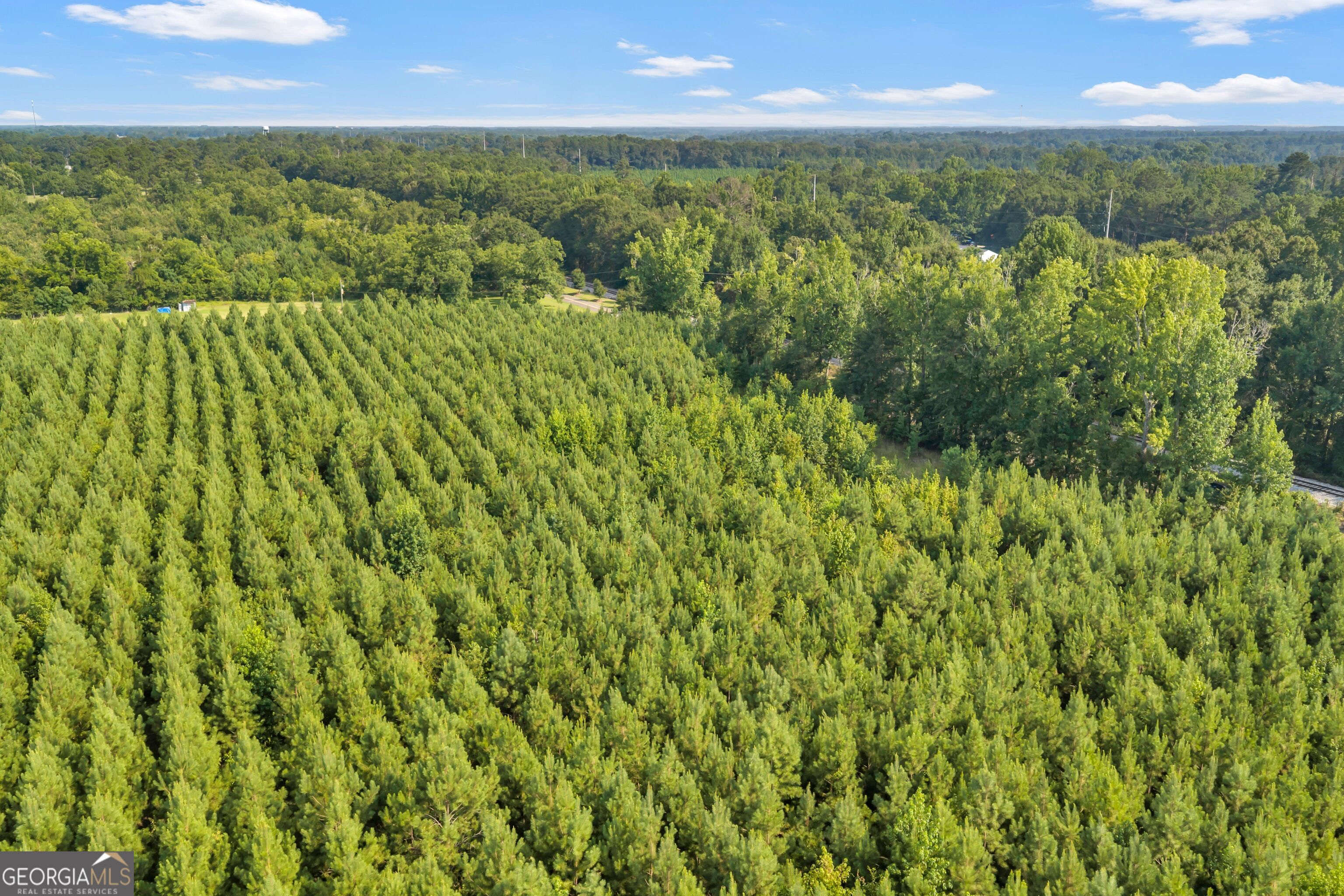 Allen Lot Turkey Creek Road Property Photo 1