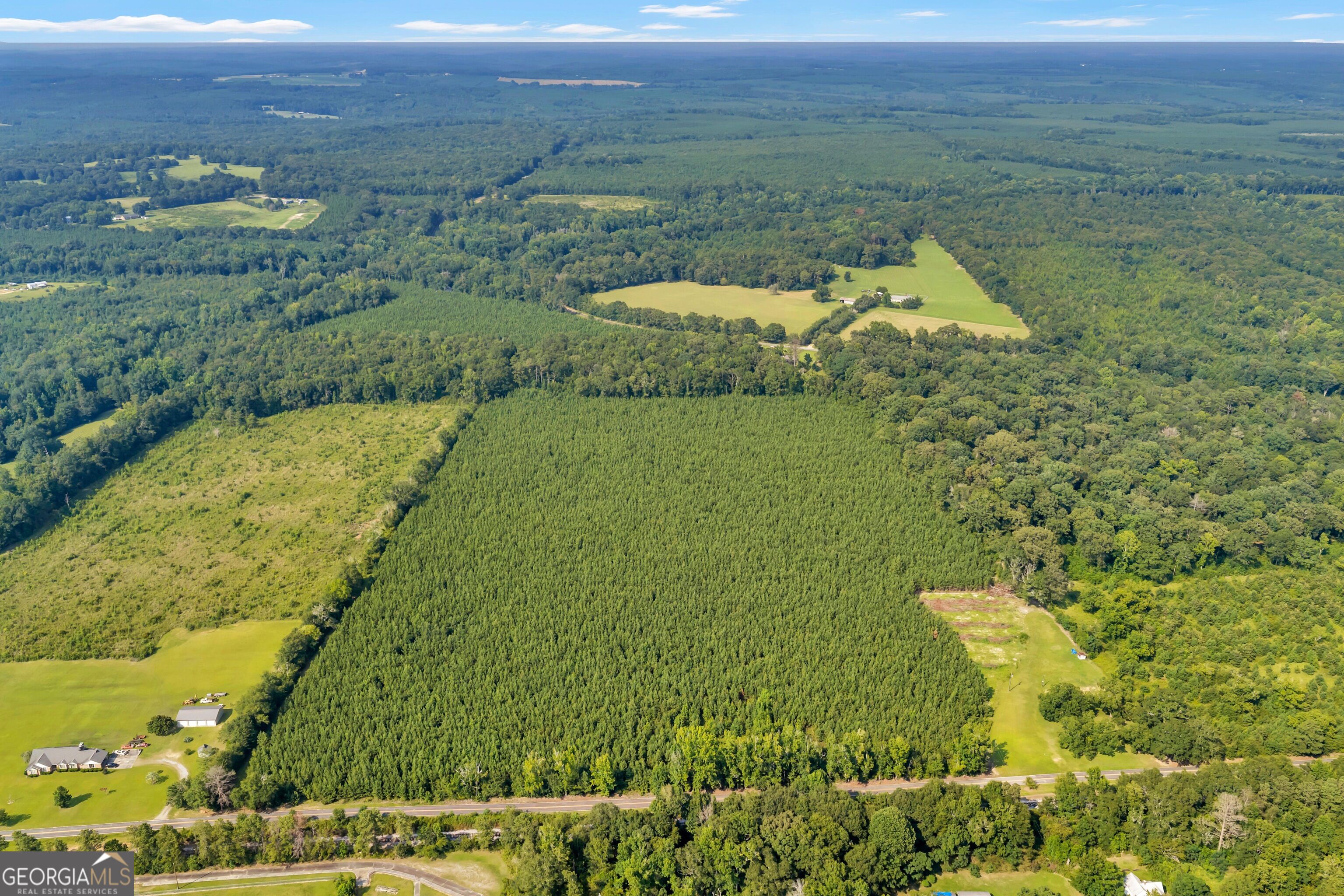 Allen Lot Turkey Creek Road Property Photo 3