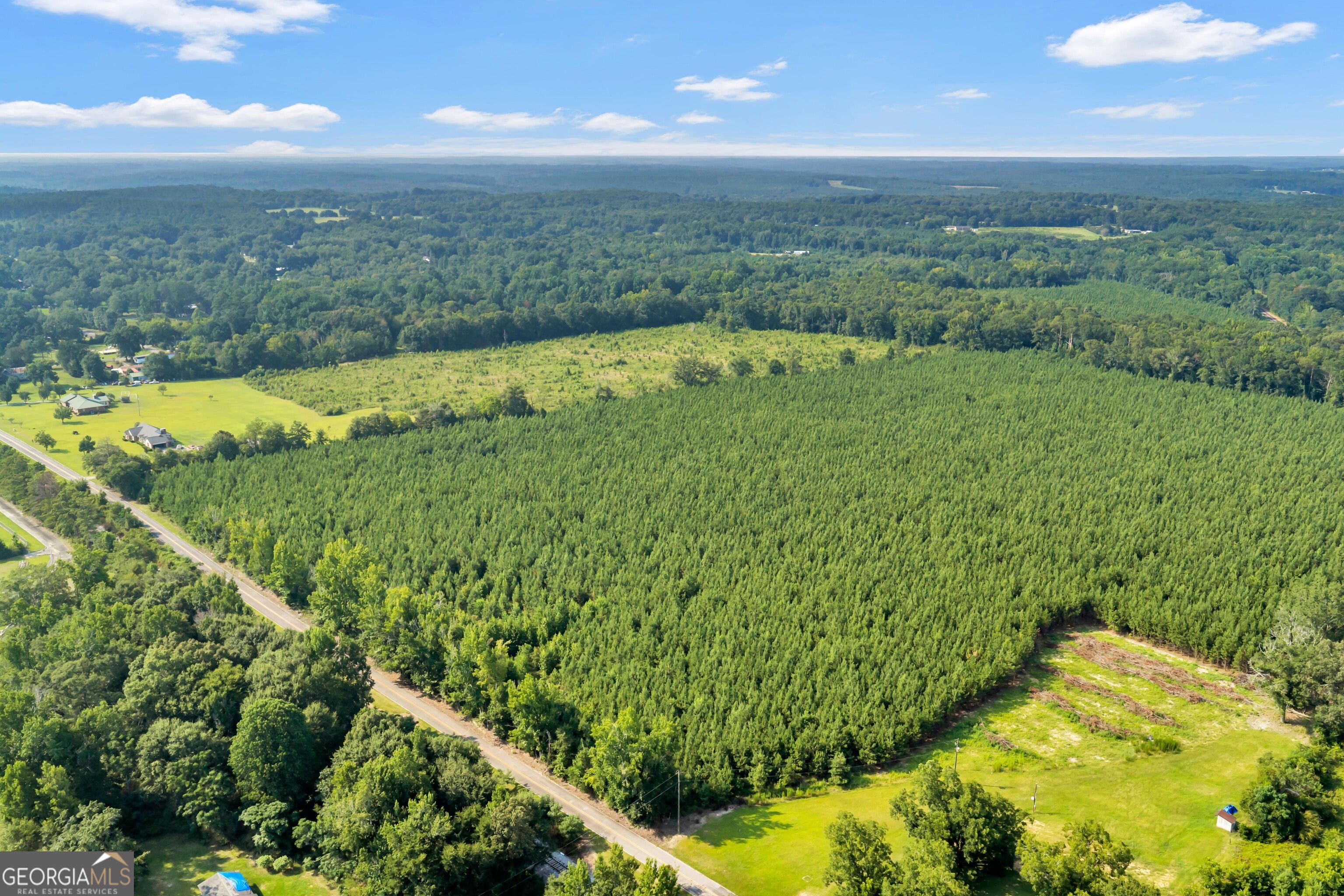 Allen Lot Turkey Creek Road Property Photo 4