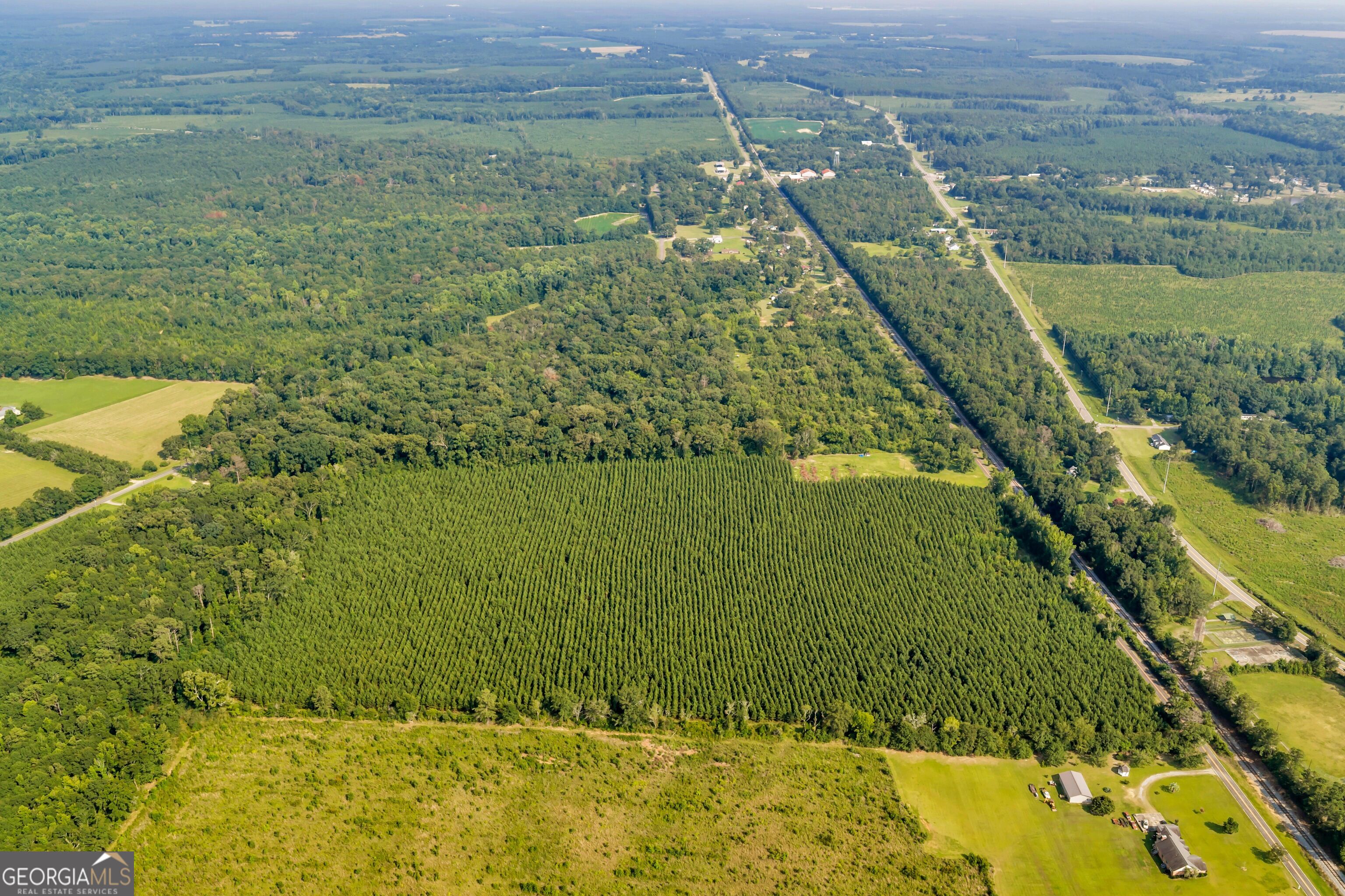Allen Lot Turkey Creek Road Property Photo 6