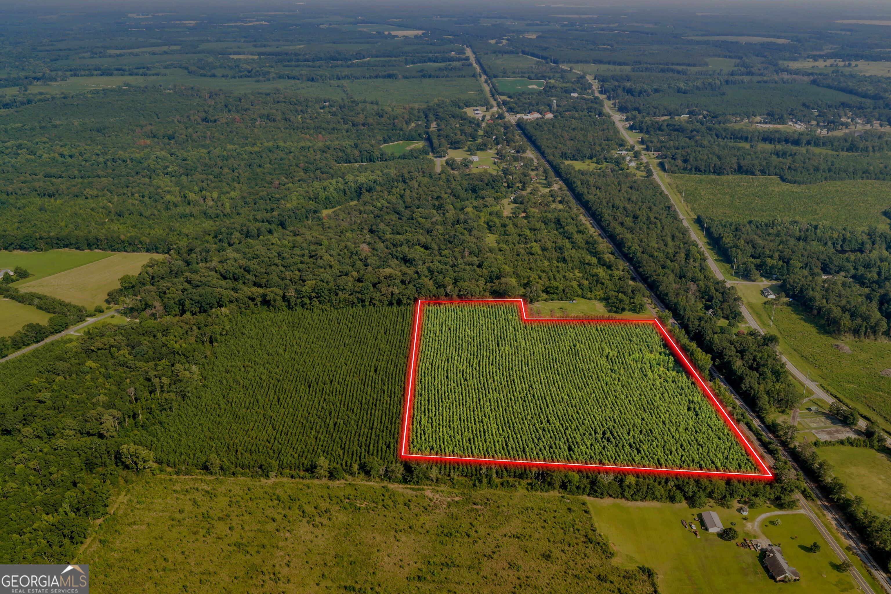 Allen Lot Turkey Creek Road Property Photo 7