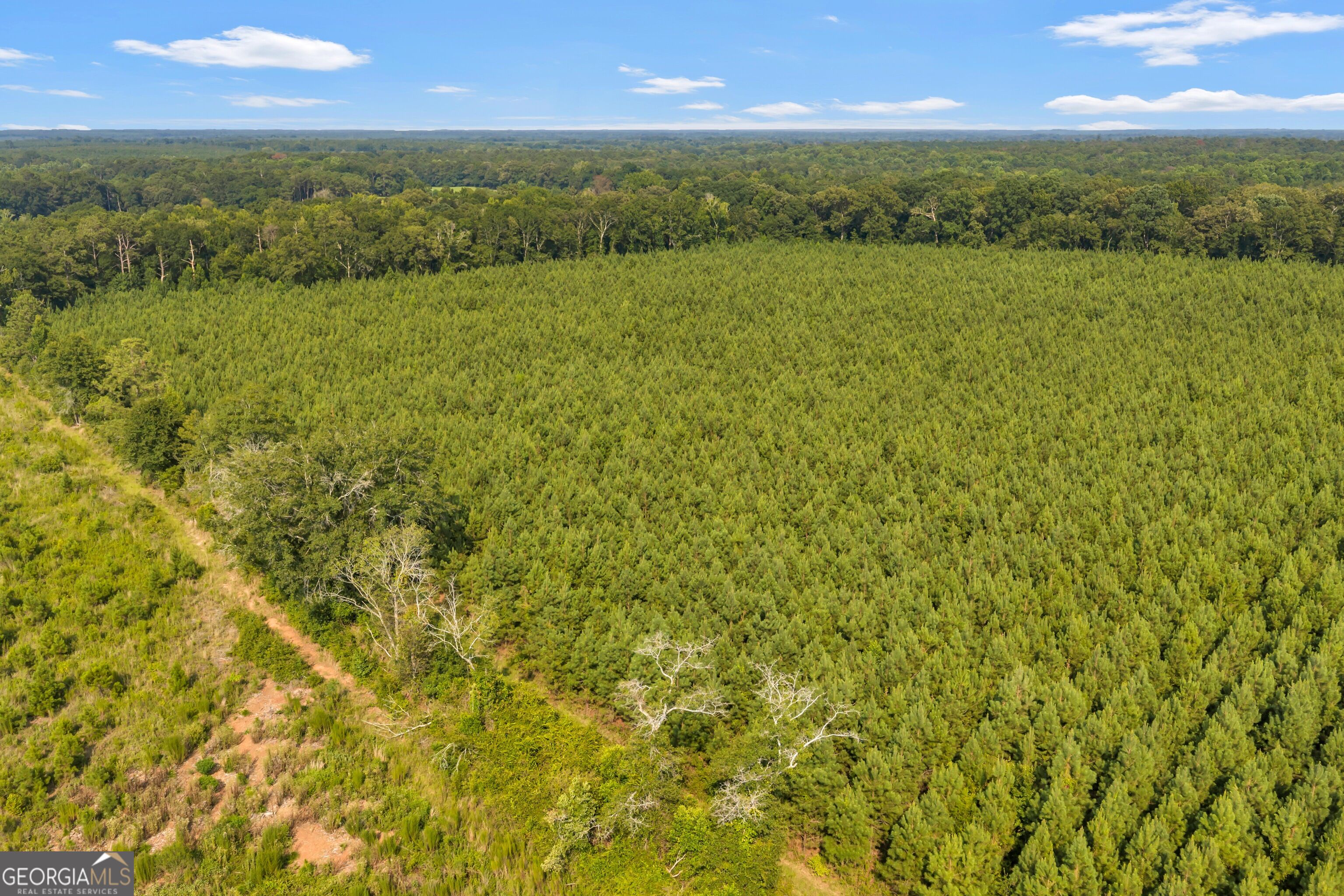 ALLEN LOT B Turkey Creek Road