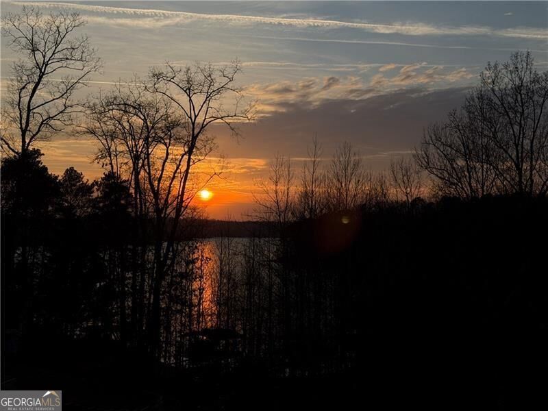 5401 Pine Forest Road Property Photo 4