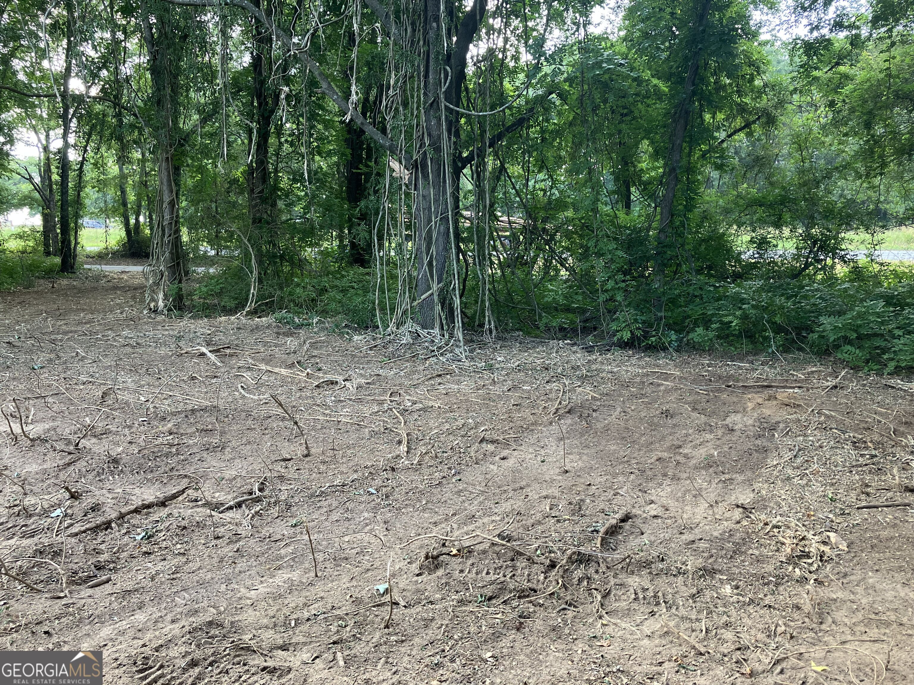 0 Durand Highway Property Photo 1