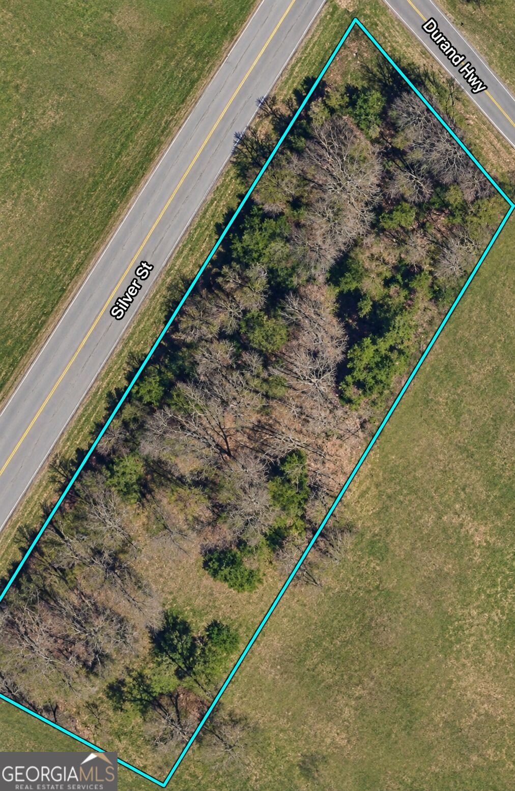 0 Durand Highway Property Photo 1