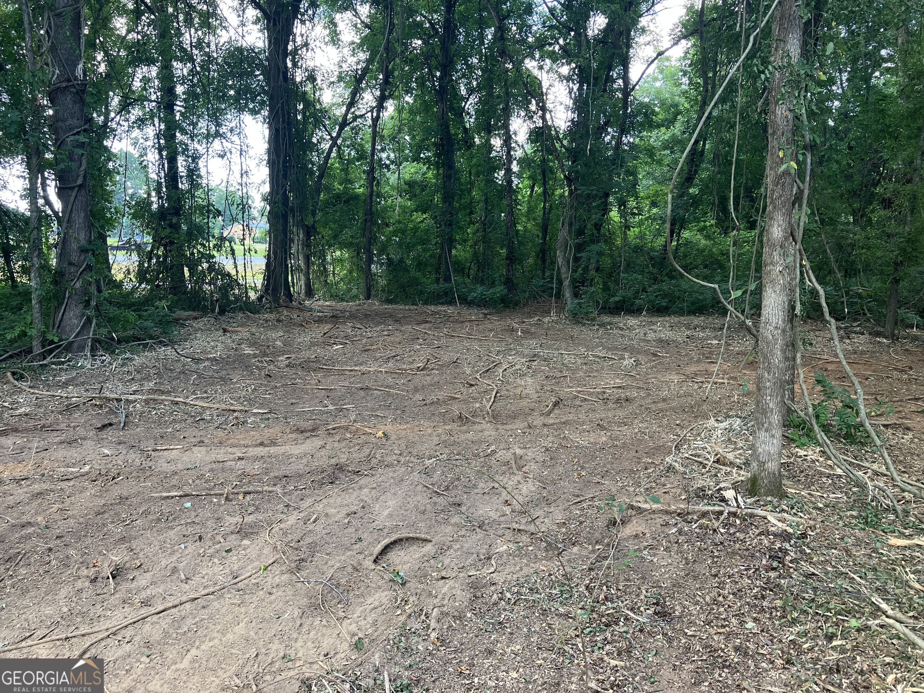 0 Durand Highway Property Photo 3