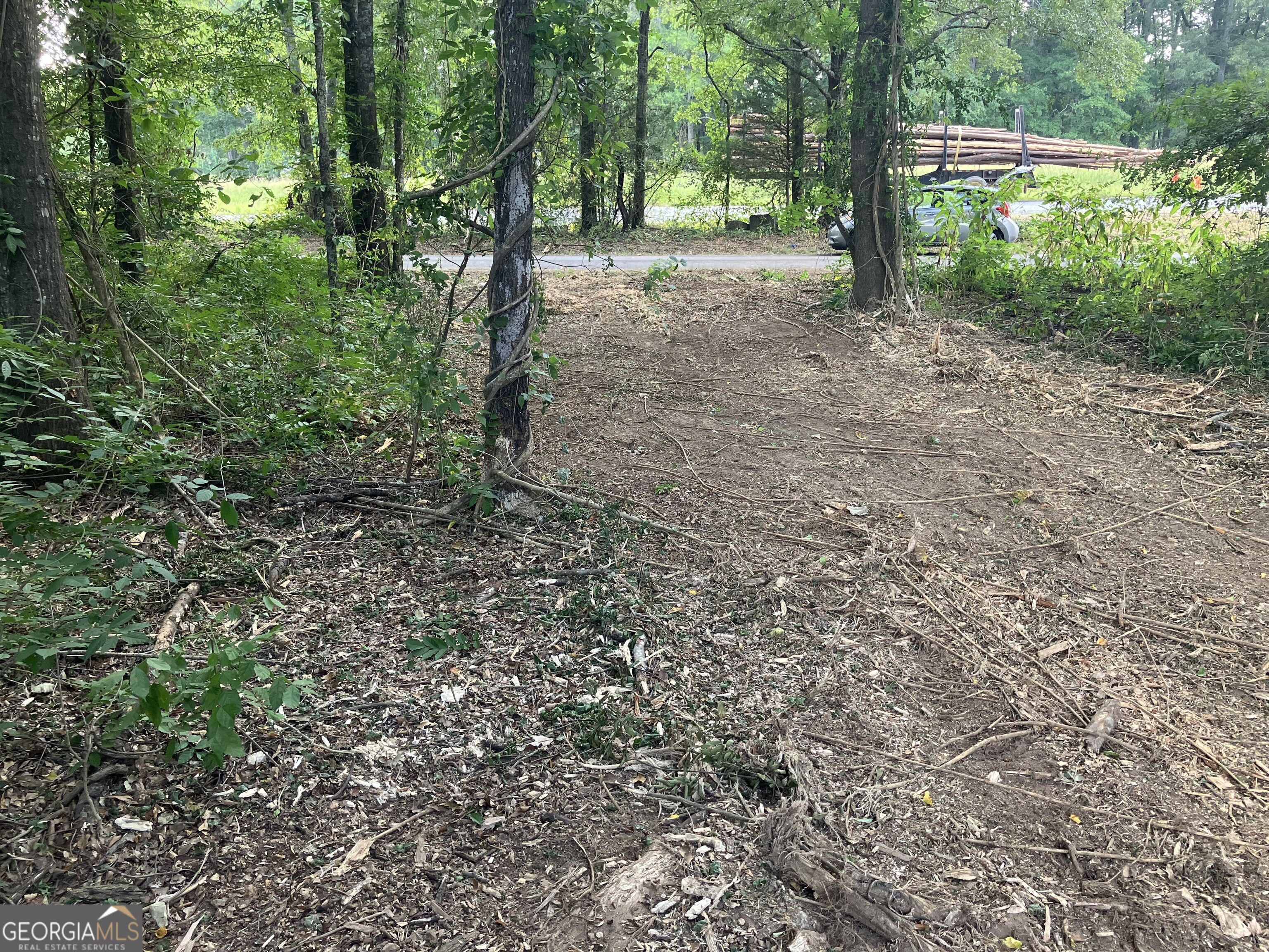 0 Durand Highway Property Photo 4