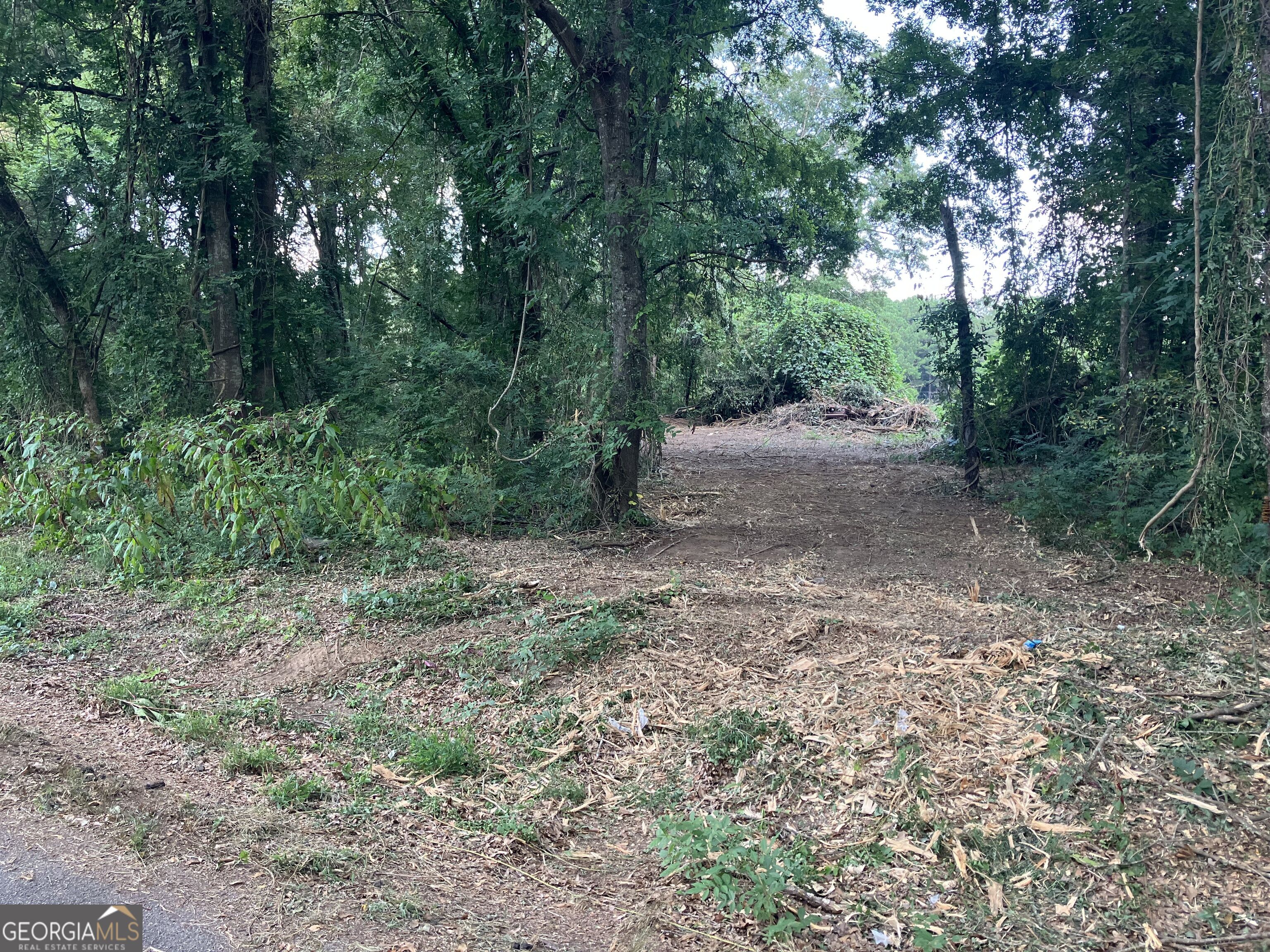 0 Durand Highway Property Photo 5