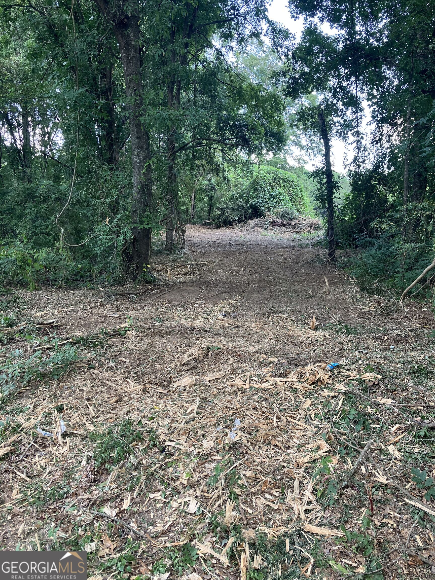 0 Durand Highway Property Photo 6