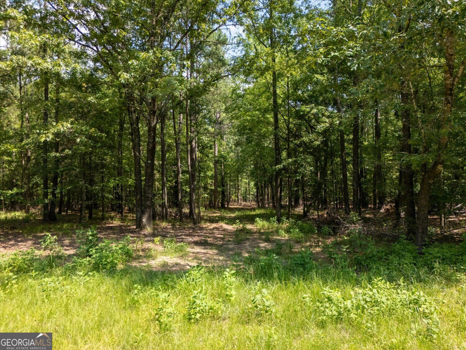 0 Winding Ridge Drive Property Photo 10