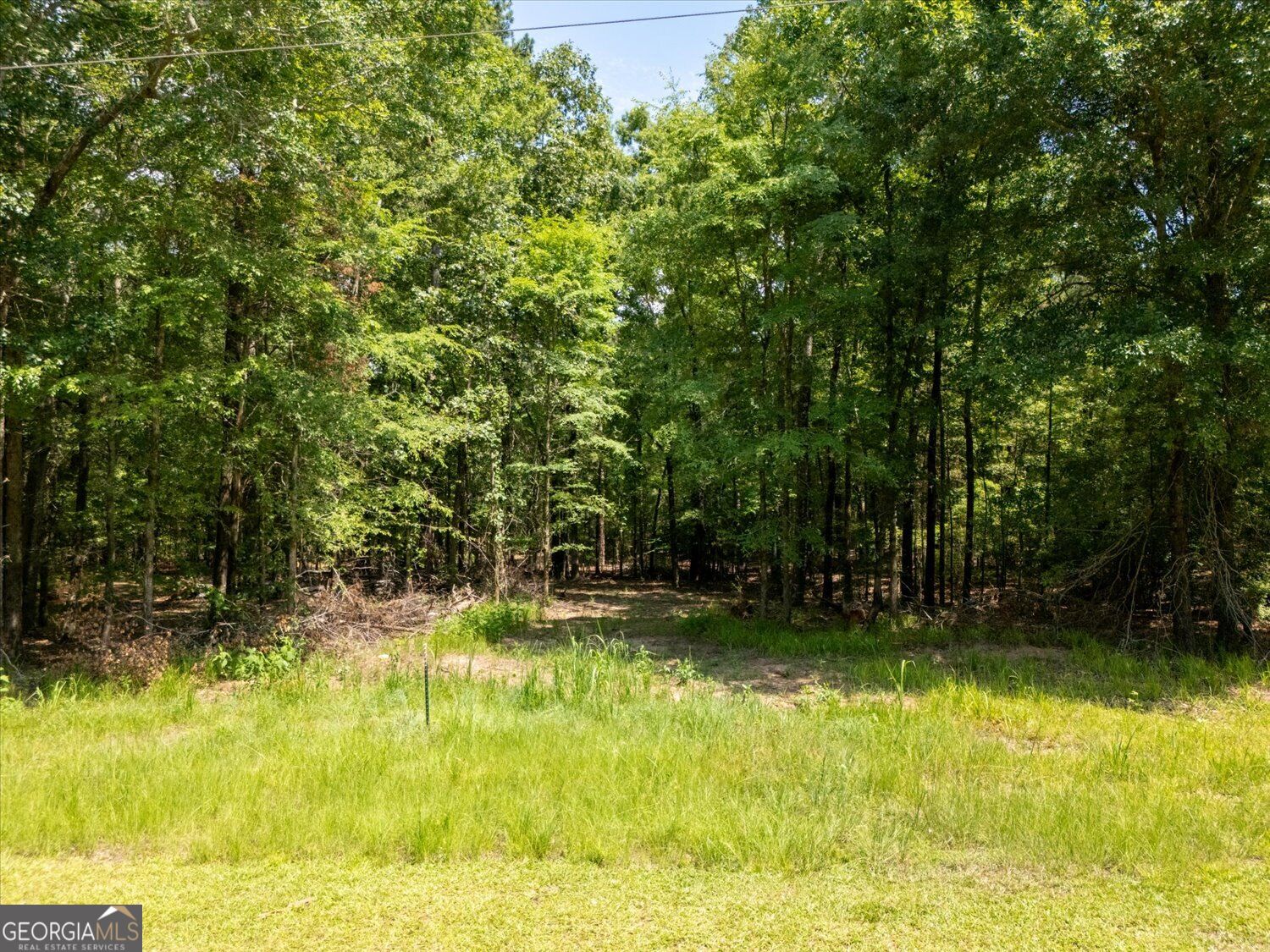 0 Winding Ridge Drive Property Photo 11