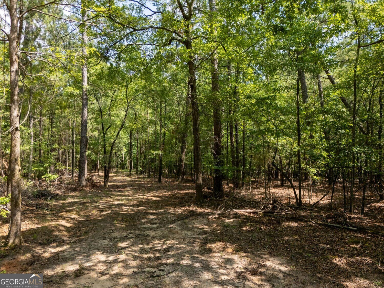 0 Winding Ridge Drive Property Photo 12
