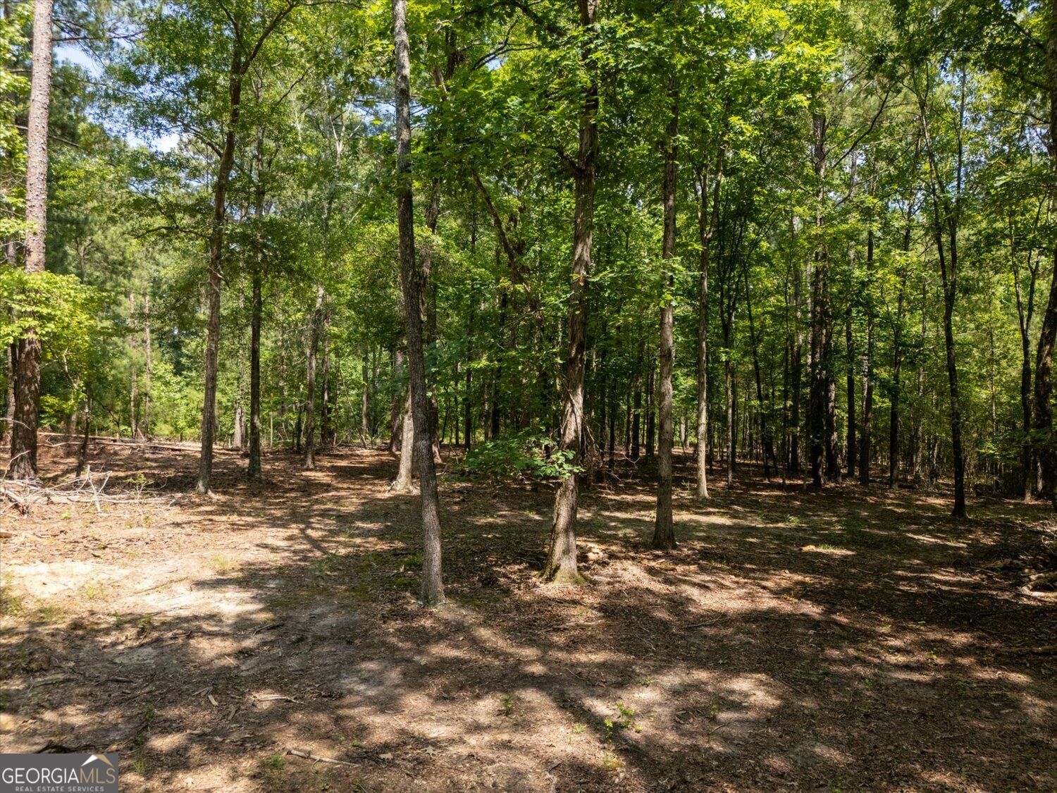 0 Winding Ridge Drive Property Photo 13