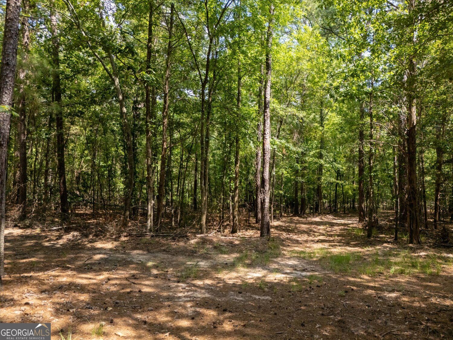 0 Winding Ridge Drive Property Photo 14