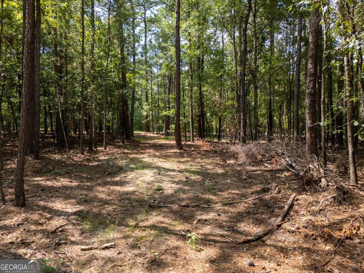 0 Winding Ridge Drive Property Photo 15
