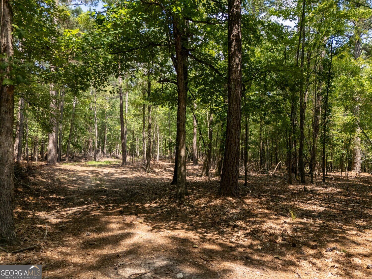 0 Winding Ridge Drive Property Photo 16