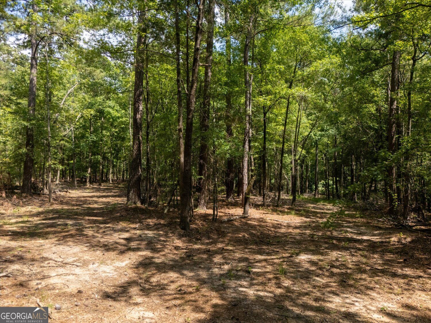 0 Winding Ridge Drive Property Photo 17