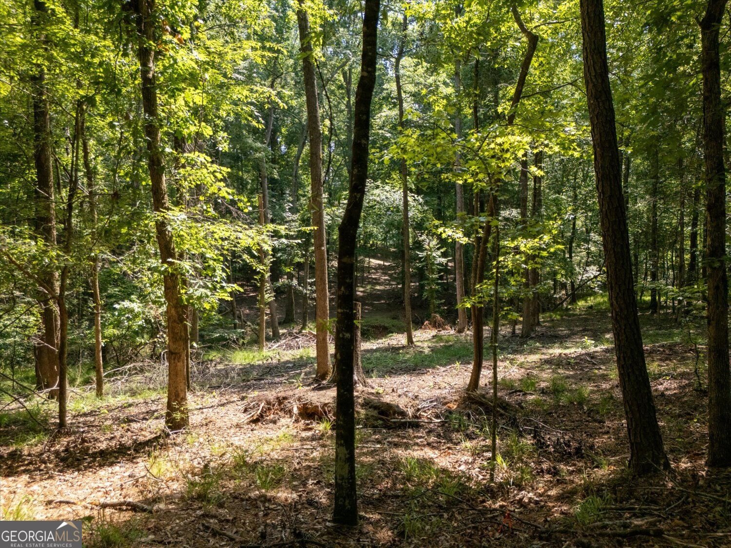 0 Winding Ridge Drive Property Photo 18