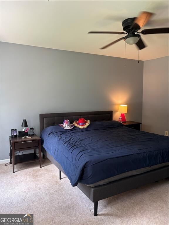 3728 Spring Leaf Lane Property Photo 17