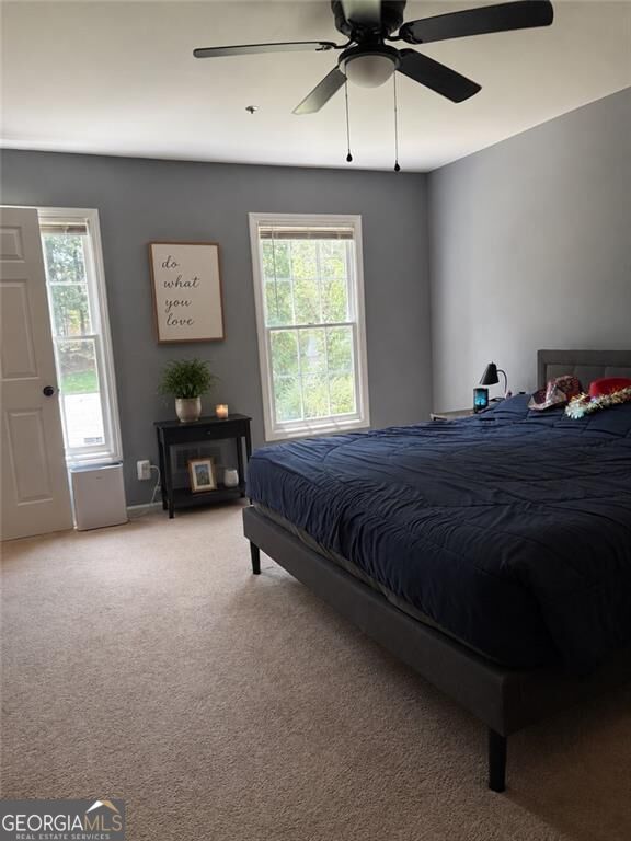 3728 Spring Leaf Lane Property Photo 18