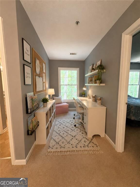3728 Spring Leaf Lane Property Photo 22