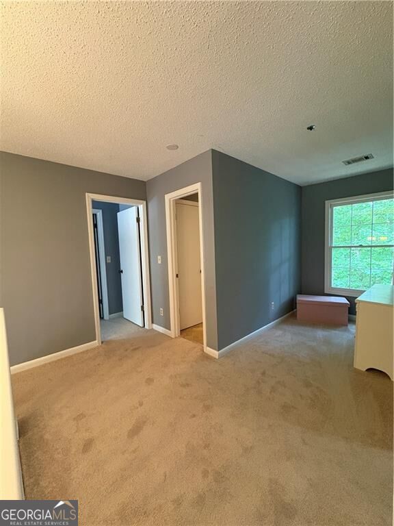 3728 Spring Leaf Lane Property Photo 23