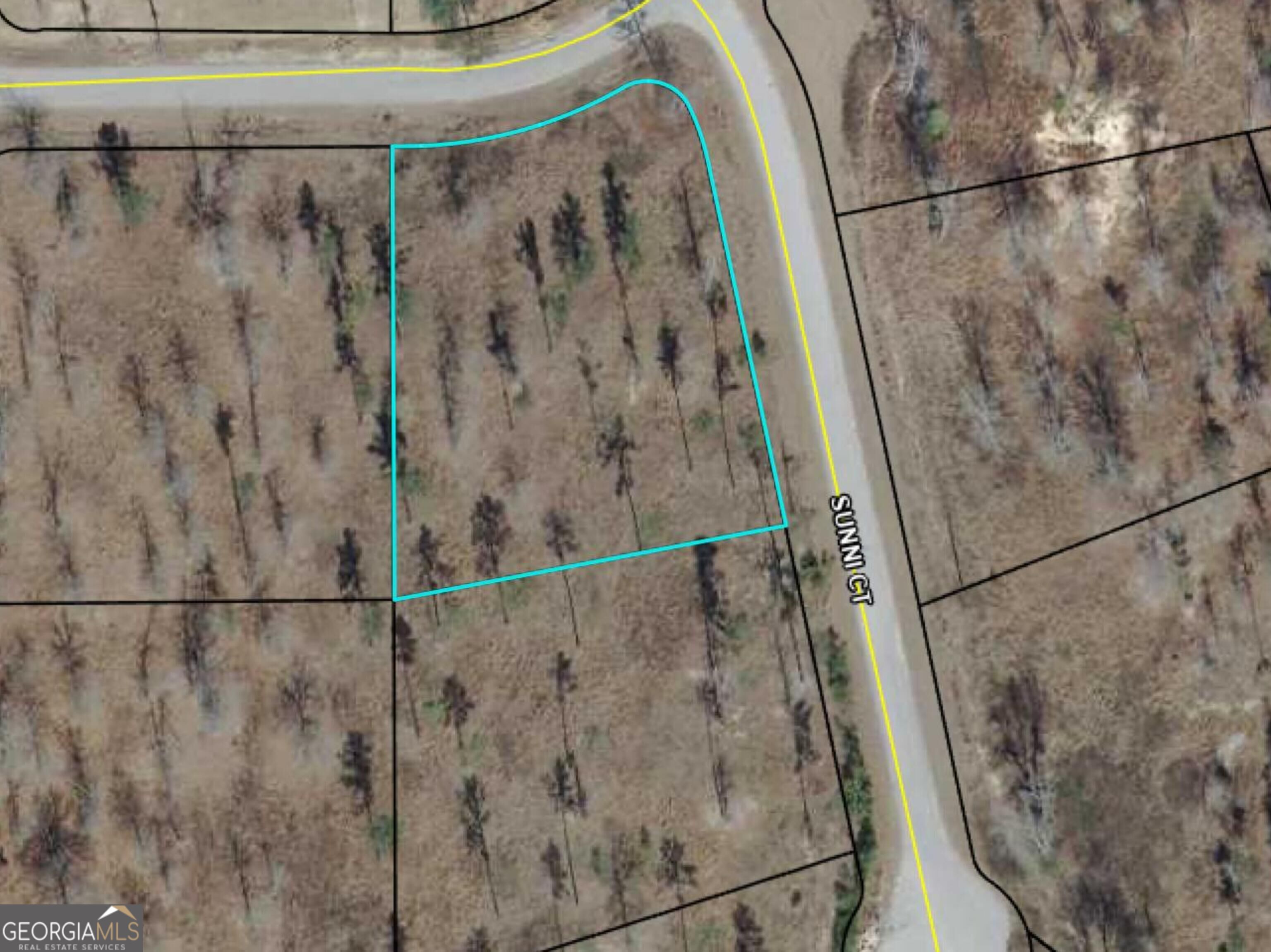 4003 Sunni Court Property Photo 1