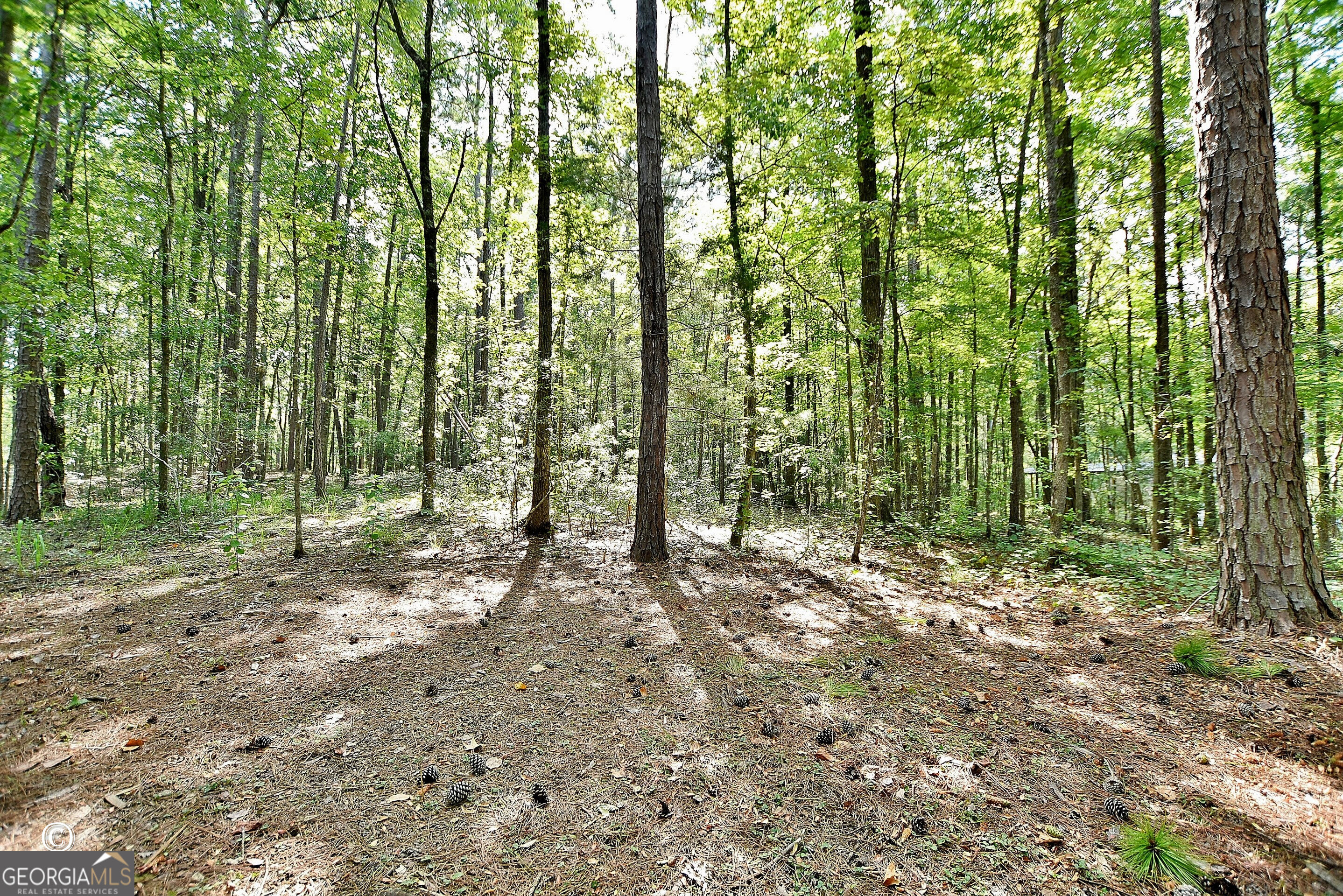 907 Big Sky Drive Property Photo 31