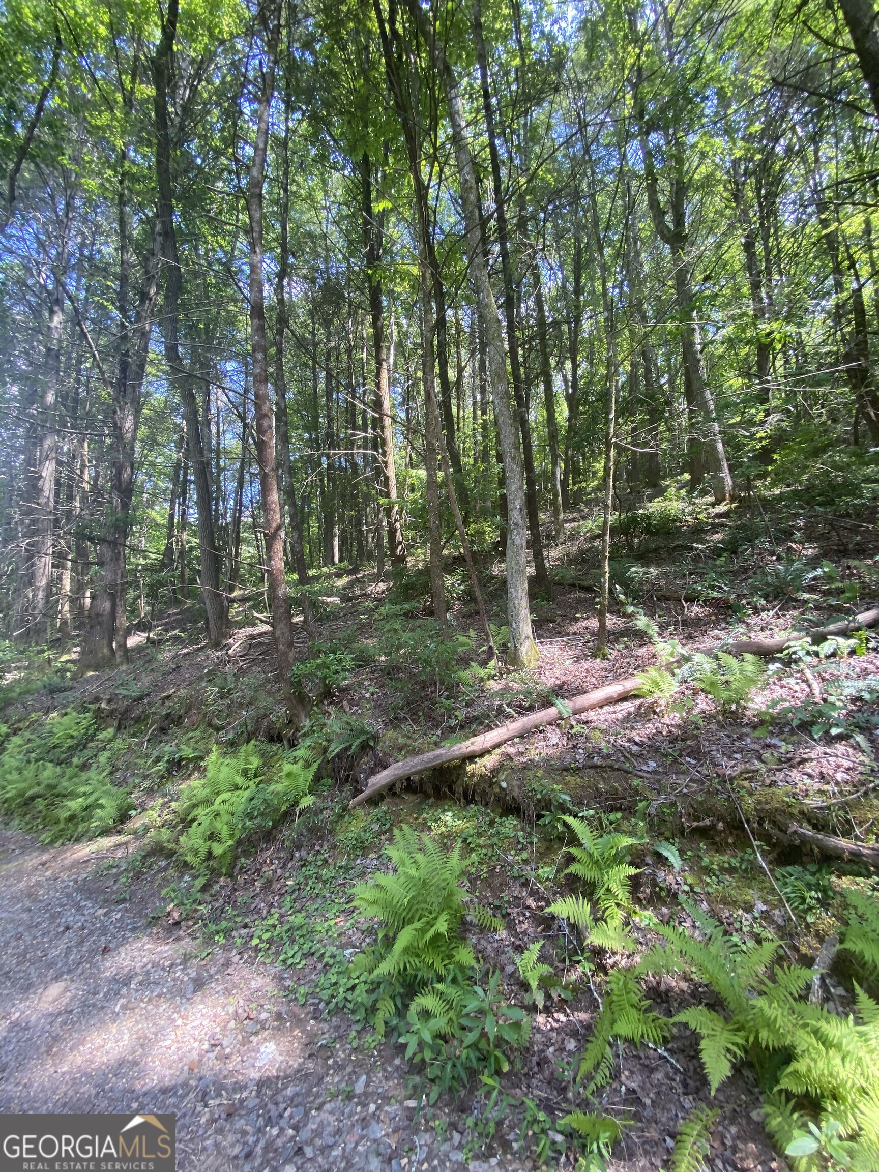 Hemlock Hemlock Trail Property Photo 1