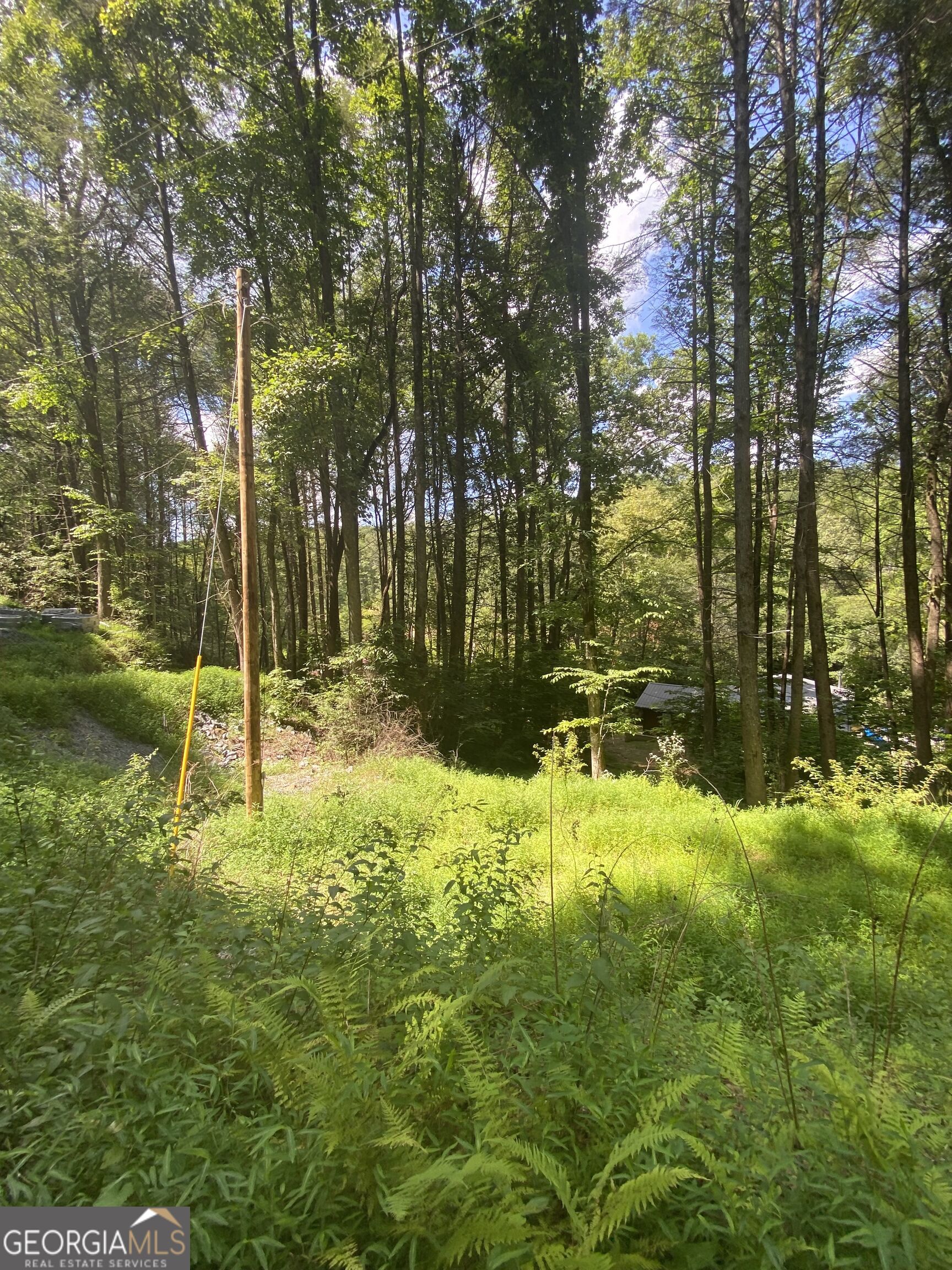 Hemlock Hemlock Trail Property Photo 3