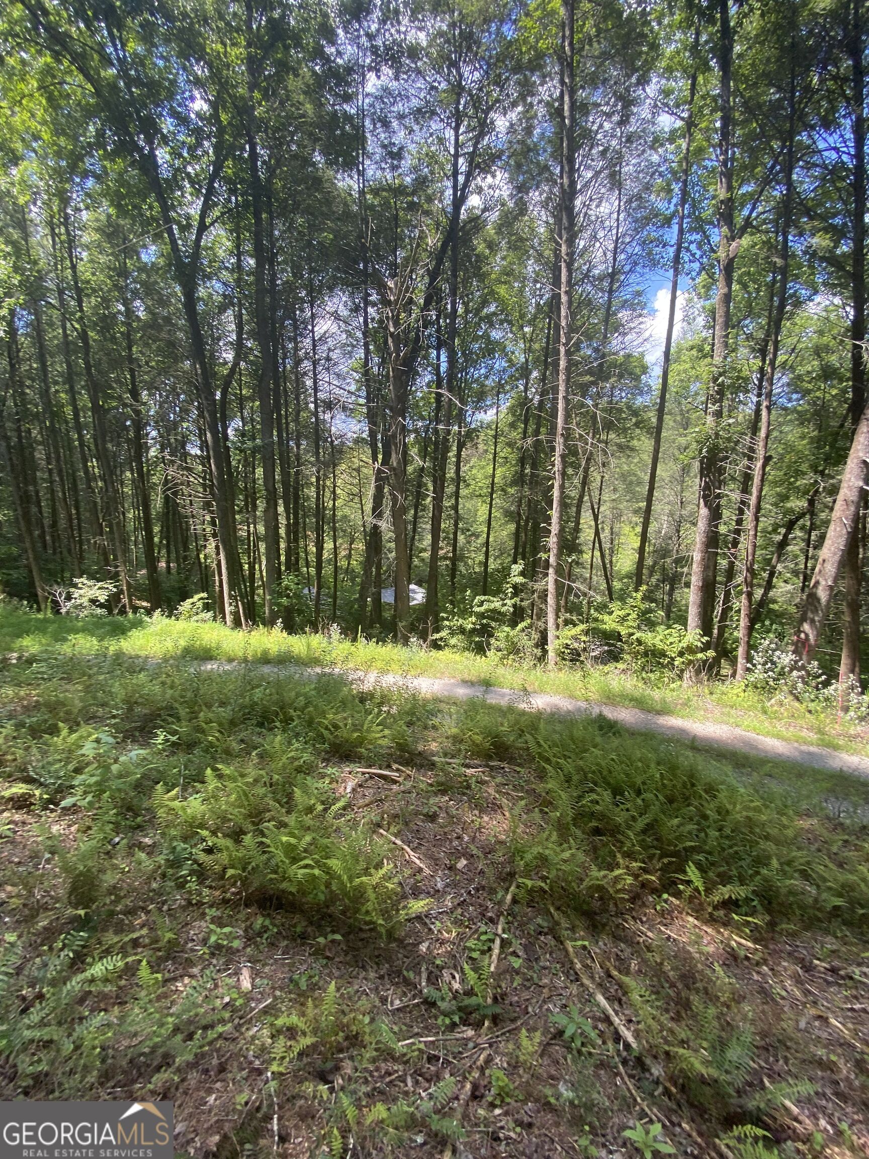 Hemlock Hemlock Trail Property Photo 7