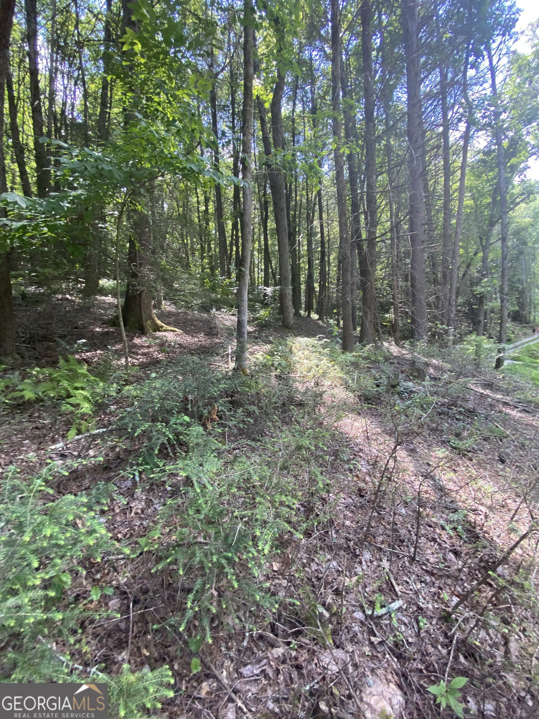 Hemlock Hemlock Trail Property Photo 8