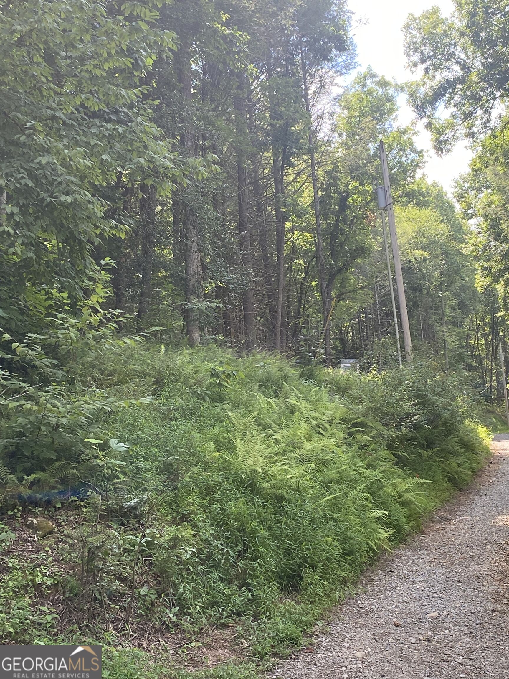 Hemlock Hemlock Trail Property Photo 10