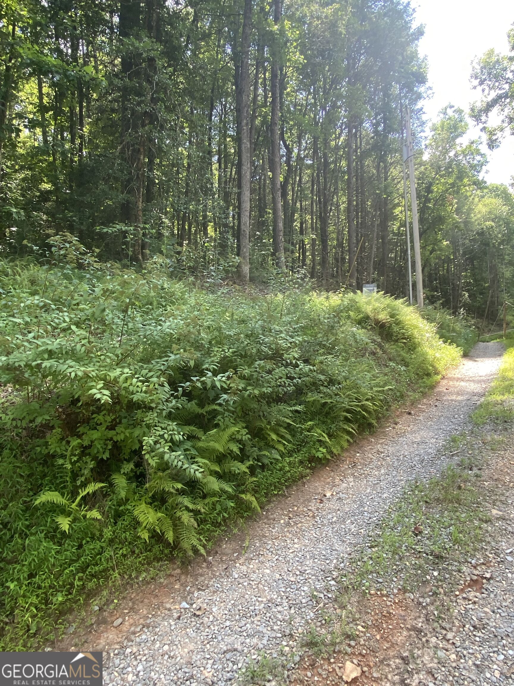 Hemlock Hemlock Trail Property Photo 11