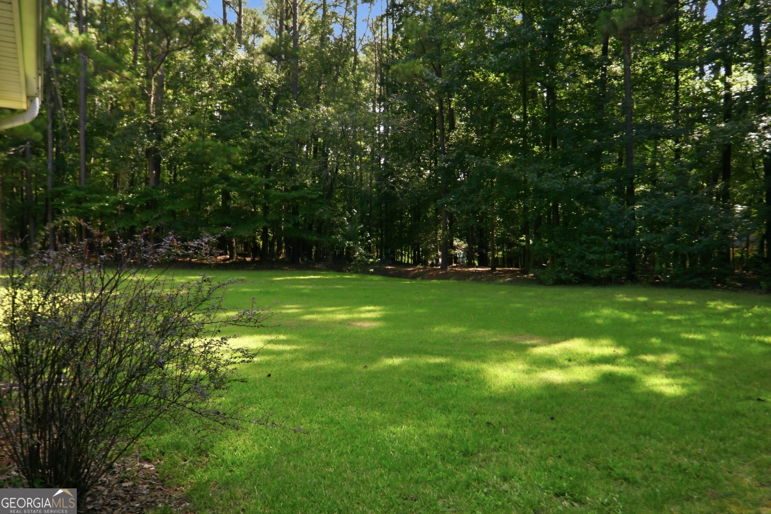 215 Eastwood Forest Property Photo 12