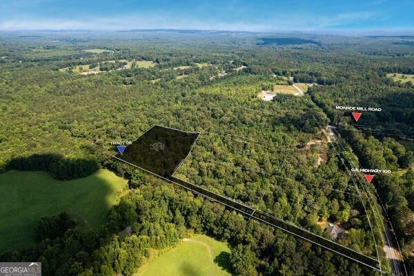 7704 Georgia Highway 100 Property Photo 1