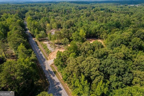 7704 Georgia Highway 100 Property Photo 8