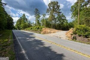 7704 Georgia Highway 100 Property Photo 12
