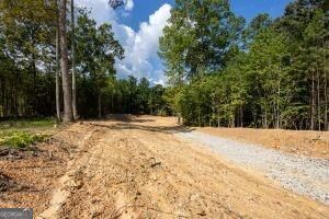 7704 Georgia Highway 100 Property Photo 13
