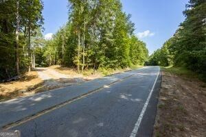 7704 Georgia Highway 100 Property Photo 15