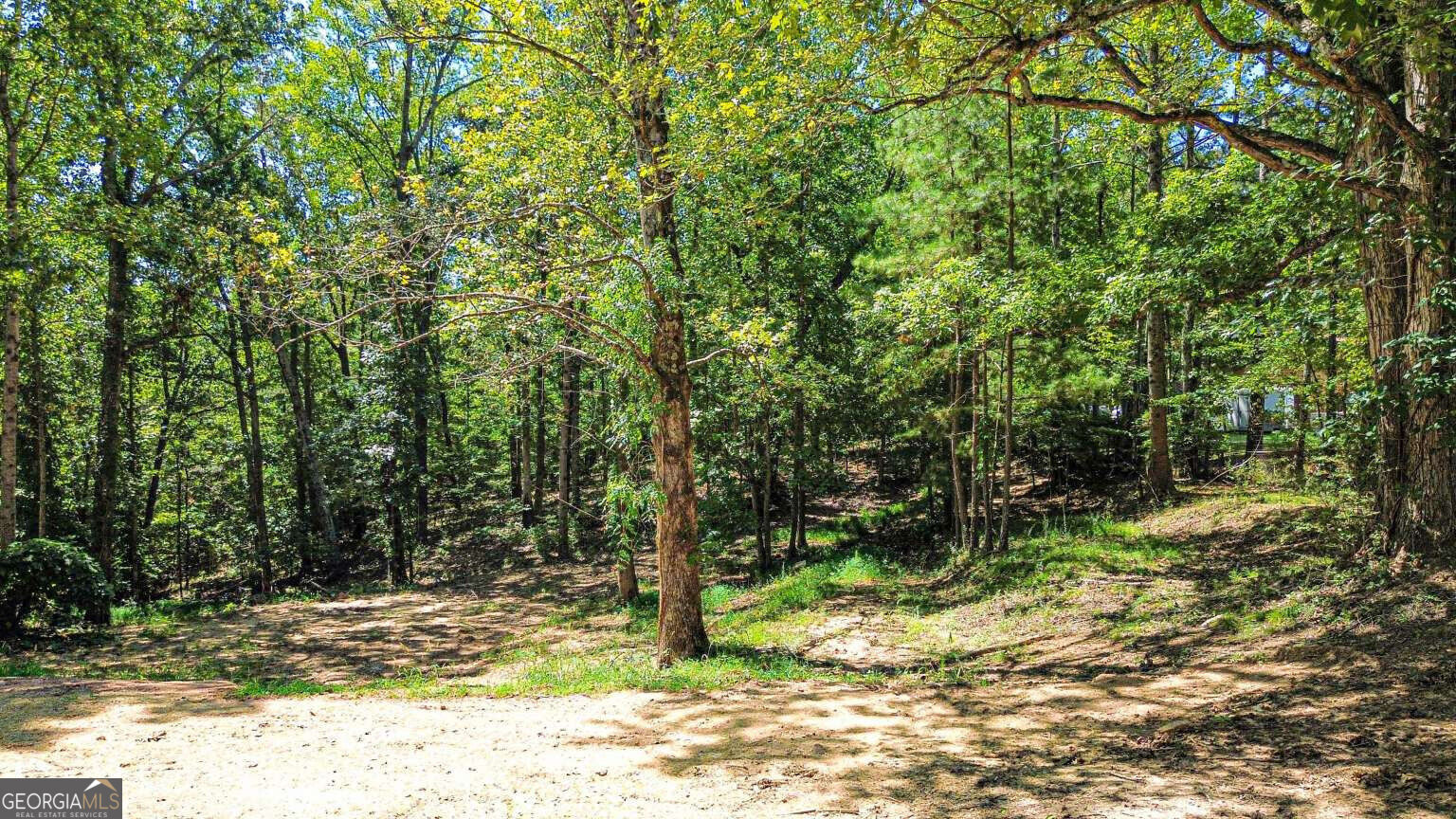 9640 Cedar Grove Road Property Photo 16