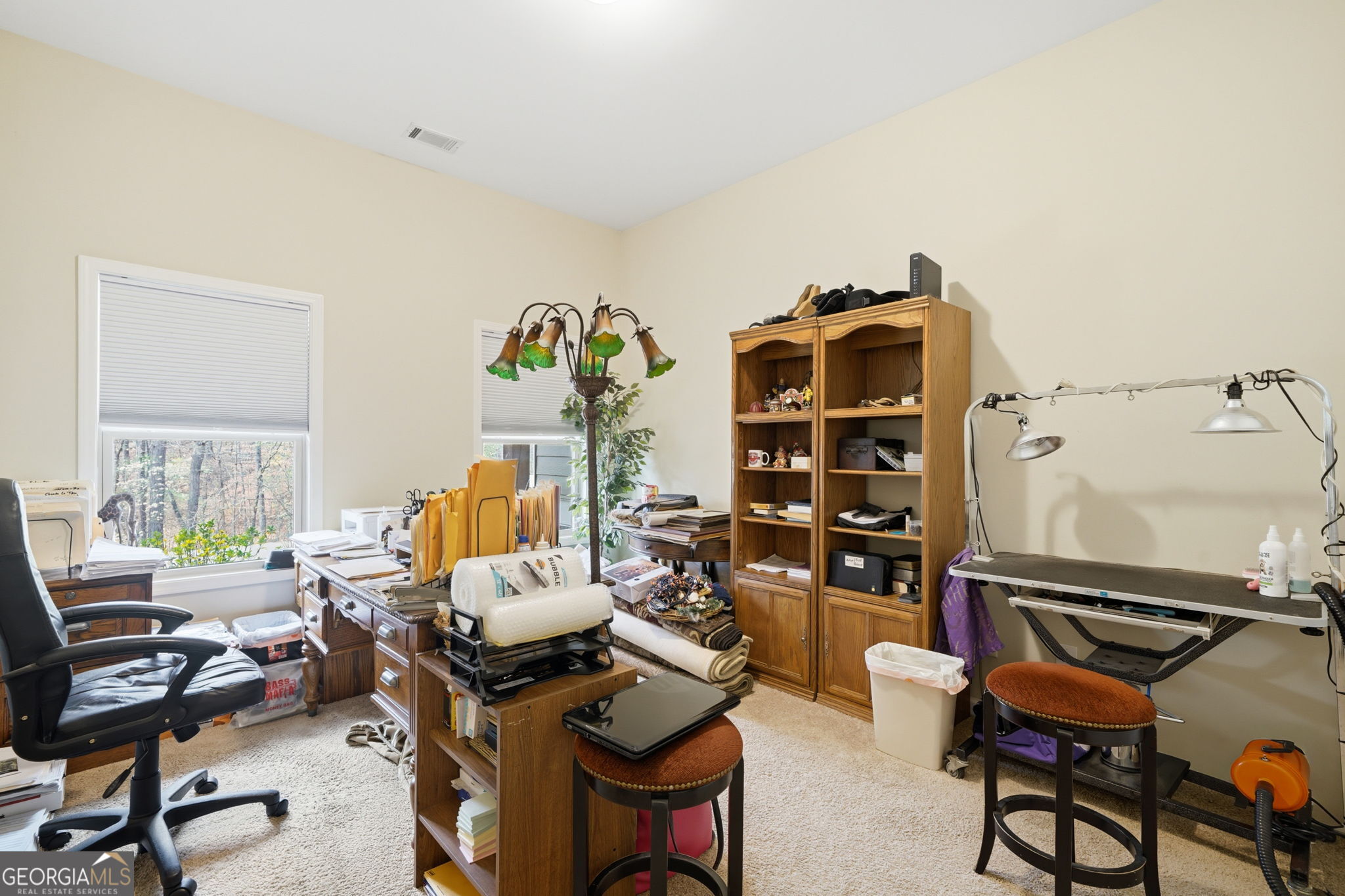 129 White Antelope Street Property Photo 17