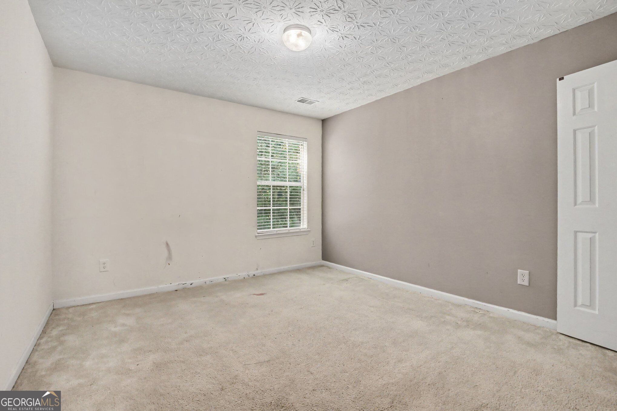 197 Hightower Trail Property Photo 18
