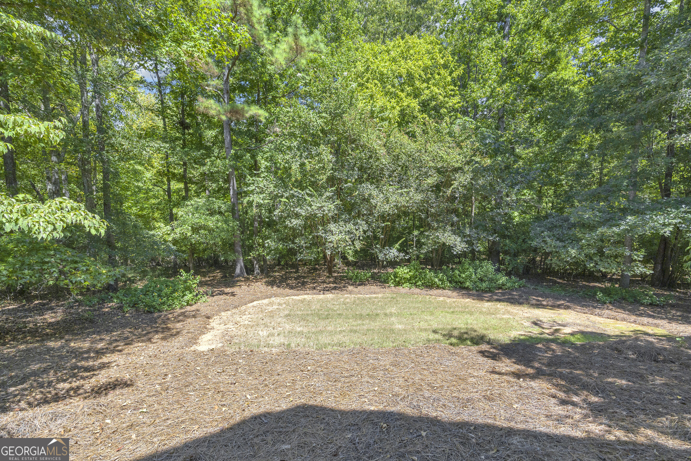 269 Falling Shoals Drive Property Photo 8