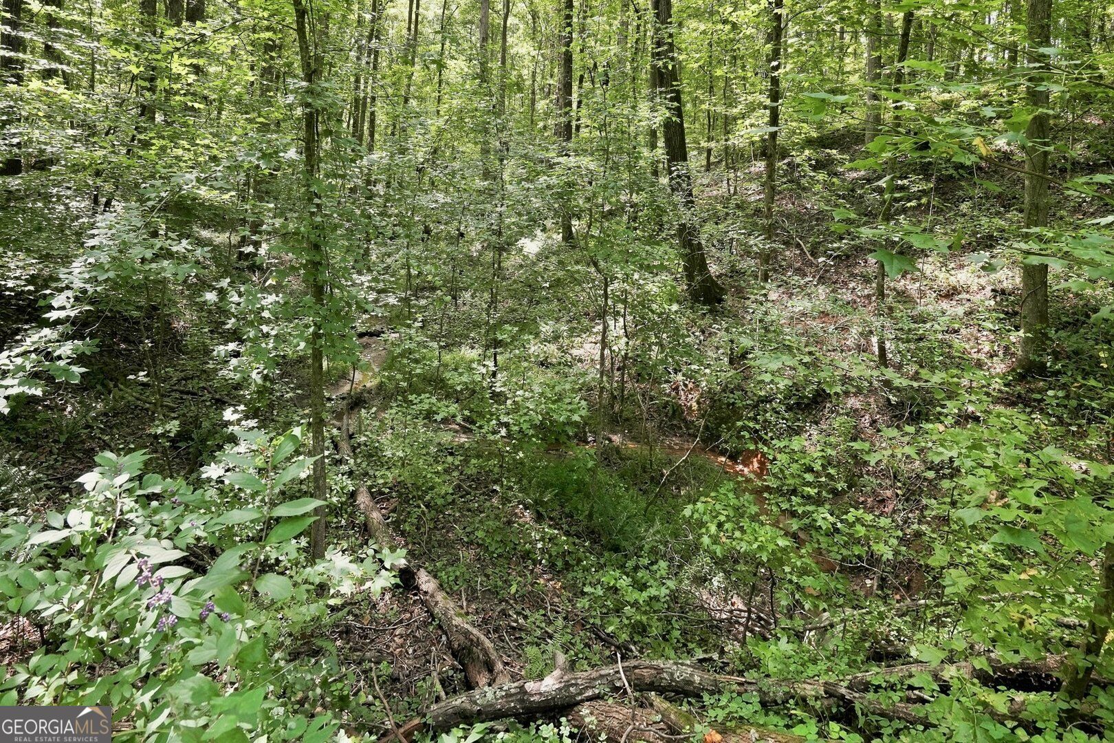 0 Shadow Wood Drive Lot 2 Property Photo 5