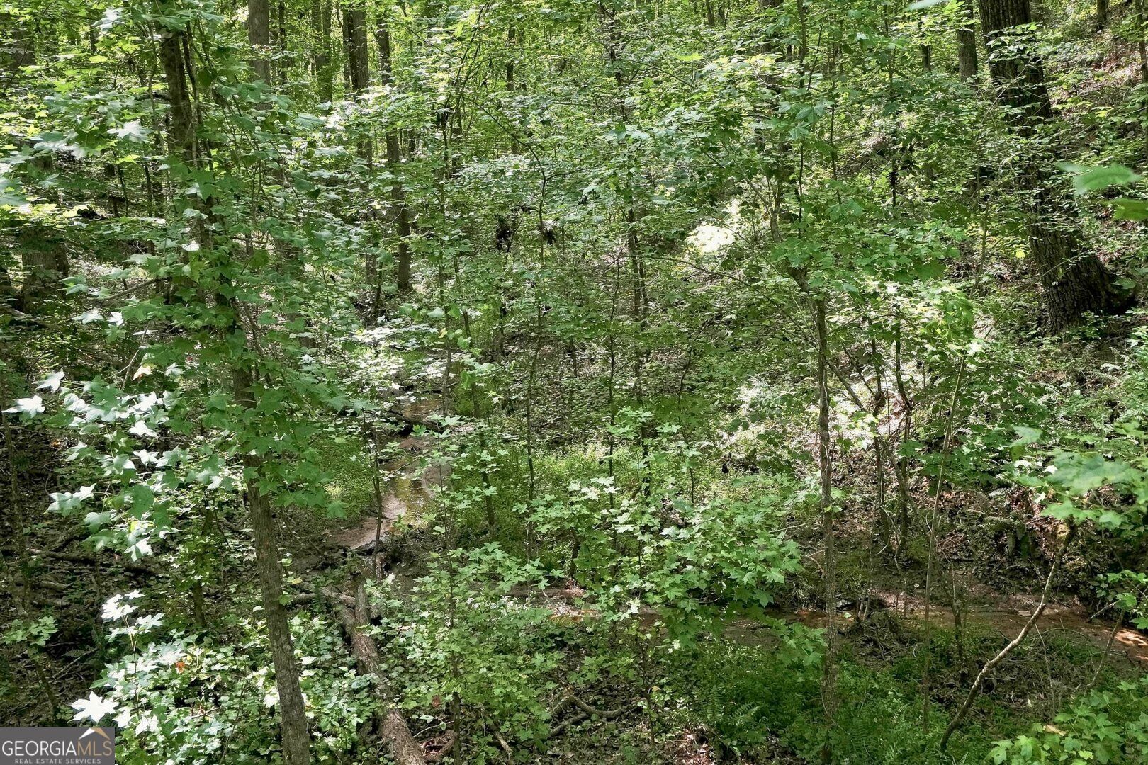 0 Shadow Wood Drive Lot 2 Property Photo 7