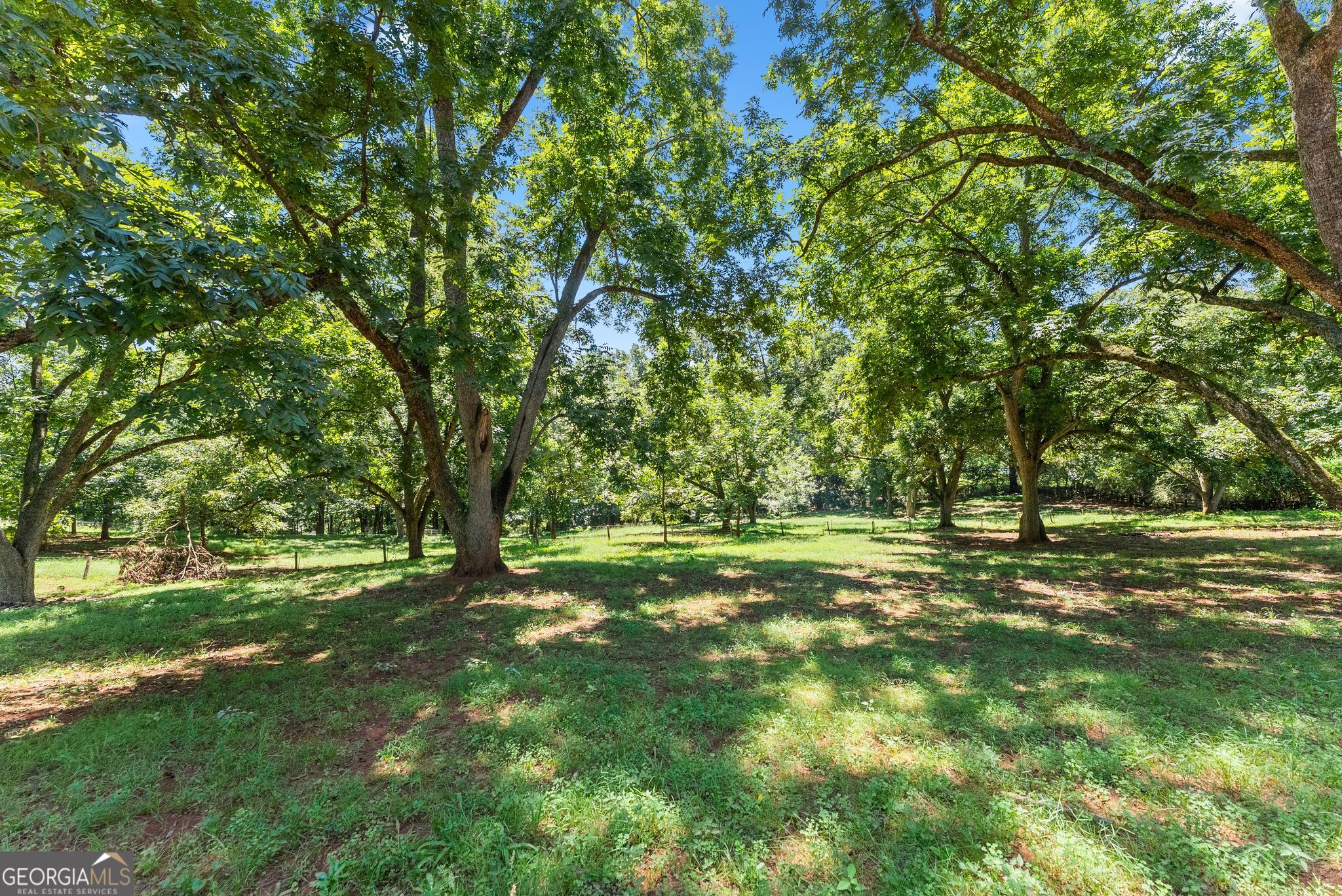8080 Milford Road Property Photo 86